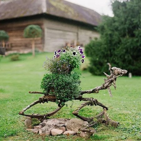 Uuekueti Nature House Retreat